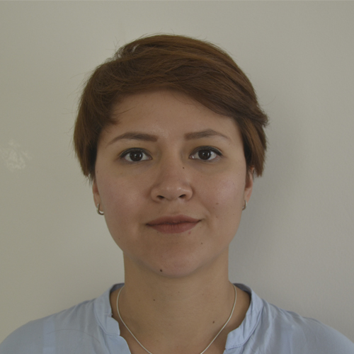 profile-sample1