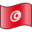 Bandera de tunez