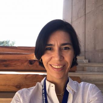 Profile picture for user María del Pilar Macías Barba